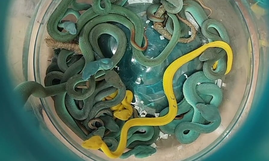 Sự kiện nổi bật
