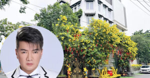 Thông tin về biệt thự hiện tại