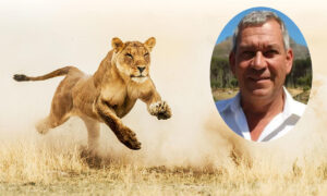 Thông tin về con sư tử